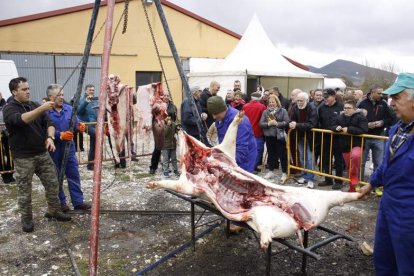 Aún quedan personas que dominan las técnicas de todo el proceso de la matanza y limpieza del gocho. CAMPOS