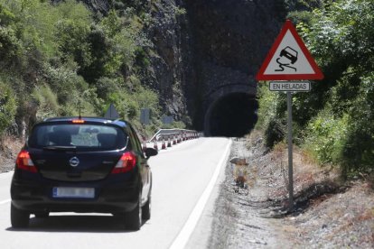 El túnel de Peñarrubia, lugar donde se produjo la colisión entre los dos vehículos.