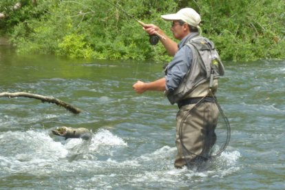 Un pescador entra en un cauce truchero para intentar una captura.