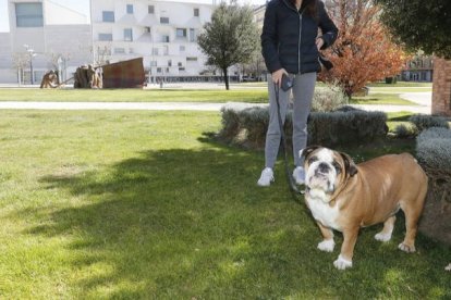 Un perro en una zona verde del barrio de Eras de Renueva. RAMIRO