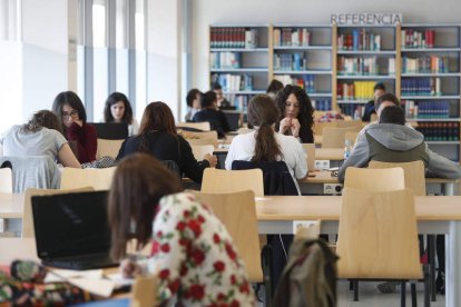 Alumnos estudiando en una de las bibliotecas del campus de Vegazana. ARCHIVO