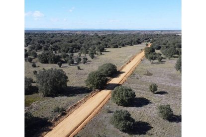 Detalle del camino que ha destruido la calzada romana. FOTO CORTESÍA DE ISAAC MORENO