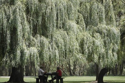 El parque de La Candamia es la gran zona de esparcimiento de la capital. JESÚS F. SALVADORES