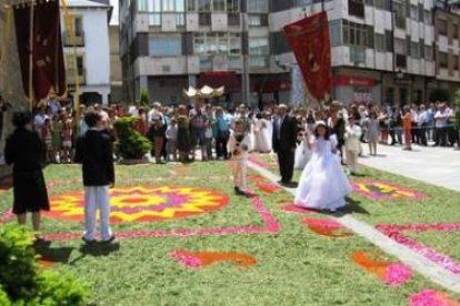 En Bembibre se hizo una alfombra floral de cien metros