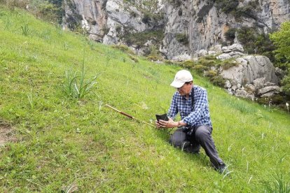 José Manuel Diez en un momento de la clasificación de una especie de orquídea en Caín. SANTOS