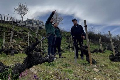 Franz ya ha iniciado su recorrido por el territorio del vino. DL