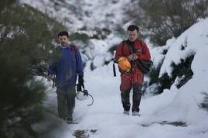 Imagen de los huesos hallados en la cueva de La Braña