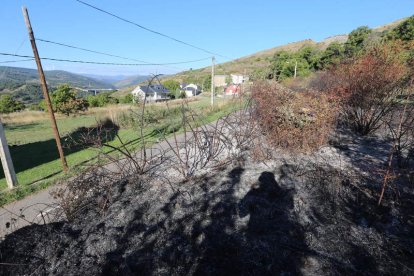 Zona de maleza que ardió en La Granja donde se produjo la agresión al agente. L. DE LA MATA