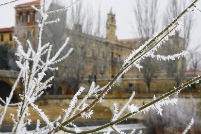 En las próximas horas se avecina un frío intenso en la provincia