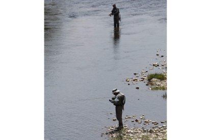 El Órbigo acogerá el Nacional de Salmónidos Mosca. JESÚS F. SALVADORES