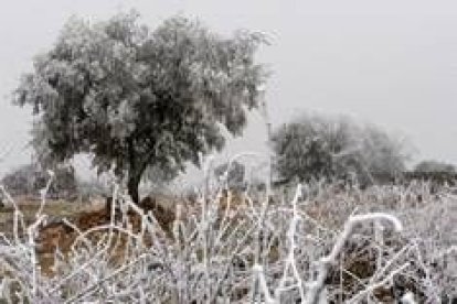 Los campos y los bosques han ofrecido una postal de cuento durante todo el fin de semana