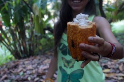 Una mujer muestra el fruto del cacao.