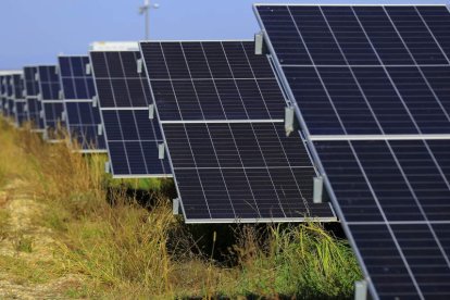 Imagen de un parque solar fotovoltaico. ROBERT GHEMENT