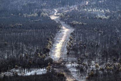 Parte de la zona afectada por el incendio, que aún se considera activo.