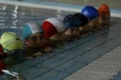 Varios niños realizan un cursillo de natación en una piscina