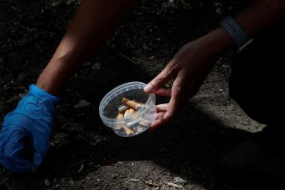 Responsables del proyecto Libera recogen colillas en un área pública de Madrid. SEBASTIÁN MARISCAL