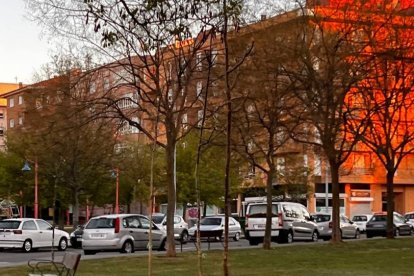 Repoblación de árboles en barrios de León. AYUNTAMIENTO DE LEÓN