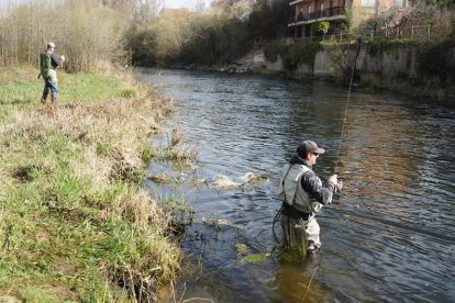 El inicio de la temporada de pesca en los ríos de León no ha podido ser más optimista. J. NOTARIO