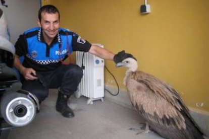 Un agente de la Policía Local de Astorga acaricia la cabeza del animal, durante su estancia en la co