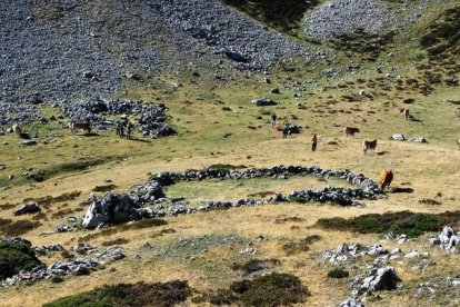 Pastos en la comarca de Babia, una de las más afectadas por la reducción de las ayudas. DL