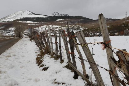 Puebla de Lillo es desde hace años una potencia turística especialista en servicios de ocio en plena naturaleza. La Estación de Esquí de San Isidro y la creciente demanda por parte de un turismo de calidad de recursos naturales bien conservados, ha provoc