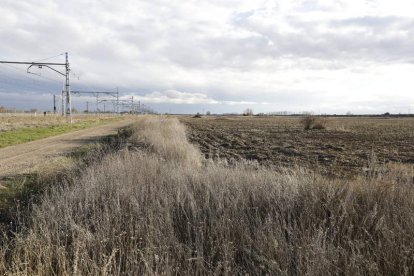 Espacio rústico en Torneros, que se debe transformar en área logística. MARCIANO PÉREZ