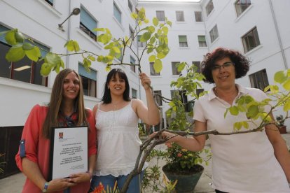 Andrea Gutiérrez, autora del trabajo, Lorena López, presidenta de Facalem y Lucía Llamazares, profesora de Trabajo Social.