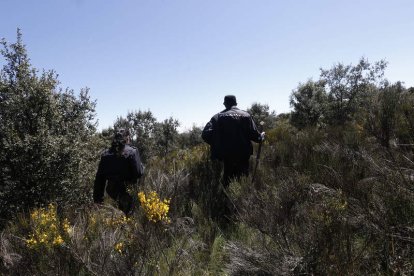 Los agentes llevan días rastreando la ruta jacobea.