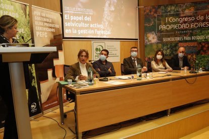 El foro, celebrado en el Centro de Fuego, también se pudo seguir de manera telemática. FERNANDO OTERO