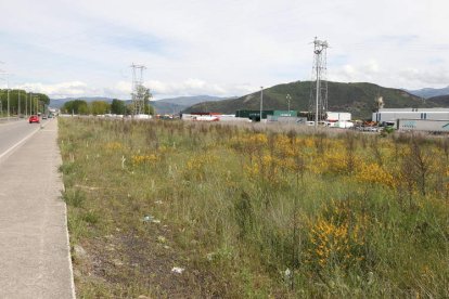 Los terrenos del SUD 15, a la derecha de la avenida de Los Escritores, con las naves de la terminal de mercancías al fondo.