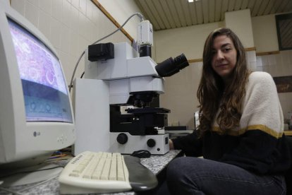 La investigación se centra en estudiar la toxoplasmosis en las ovejas. ernando otero