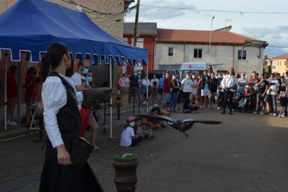 Exhibición de cetrería que se repetirá hoy a las 20.30 horas. MEDINA