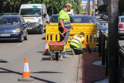 La eliminación del seto de la divisoria de Condesa Sagasta, que tenía riego, y su cambio por aglomerado se pagó con el contrato. MIGUEL