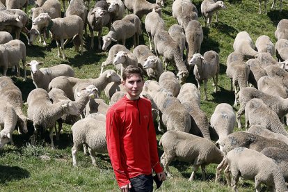 Manejar el rebaño, en el monte o en la dehesa, requiere de destreza y paciencia. MARCIANO PÉREZ