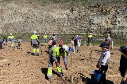 Participantes en la plantación de árboles. DL