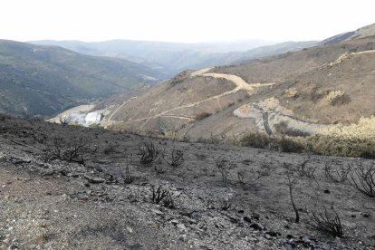 El incendio de la Cabrera fue el más devastador de todo 2017.