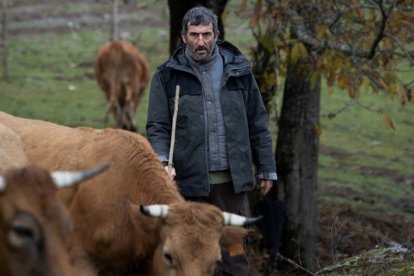 Estrenada el 11 de noviembre, ‘As bestas’ se inspira en un crimen real acaecido en la Galicia interior. LUCÍA FARAIG