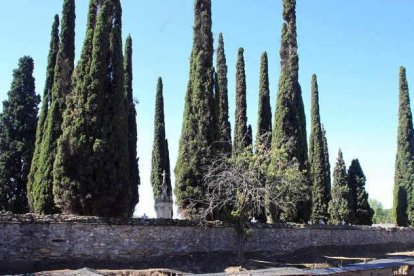 Yacimiento arqueológico de La Edrada con el cementerio municipal de fondo.