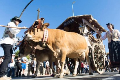 Carros engalanados en las fiestas de San Froilán del año pasado. FERNANDO OTERO