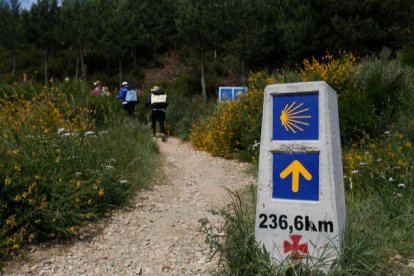 Un grupo de peregrinos asciende el puerto de Foncebadón. FERNANDO DE LA MATA