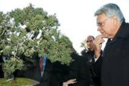 Felipe González contempla un bonsai en el Botánico