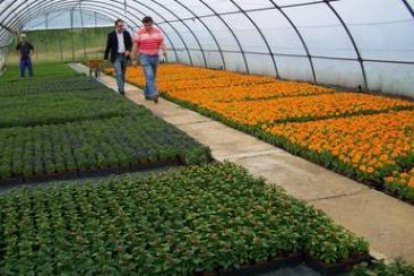 Javier Chamorro, vicealcalde de León, en su visita a las instalaciones del vivero.