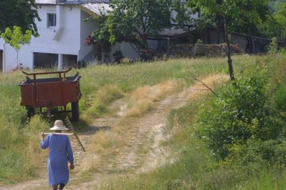 Castilla y León es la comunidad con más titularidades compartidas en España. ANA F. BARREDO