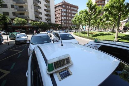 Taxistas en León