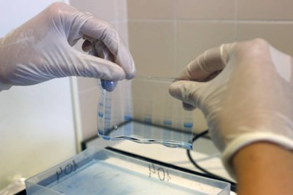 Proyectos con microorganismos en Inbiotec. F. Otero Perandones.
