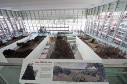 Imagen de la sala central del Museo de la Evolución Humana.