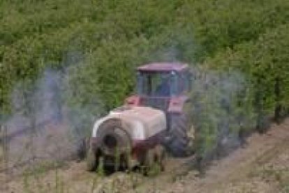 Un tractor fumiga una plantación de frutales, a los que se pretende ayudar en épocas de heladas