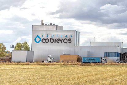 Imagen de la industria láctea de Zamora. DL