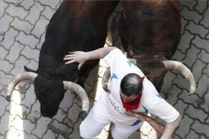 Los toros de la ganadería de La Palmosilla, de Tarifa (Cádiz), a su paso por el tramo del callejón, durante el séptimo encierro de San Fermín.