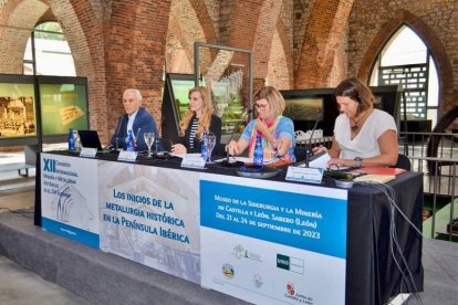 Imagen de la mesa redonda en la que participó la viceconsejera Mar Sancho. DL